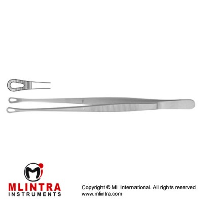 Singley-Tuttle Dissecting Forceps Stainless Steel, 18 cm - 7"